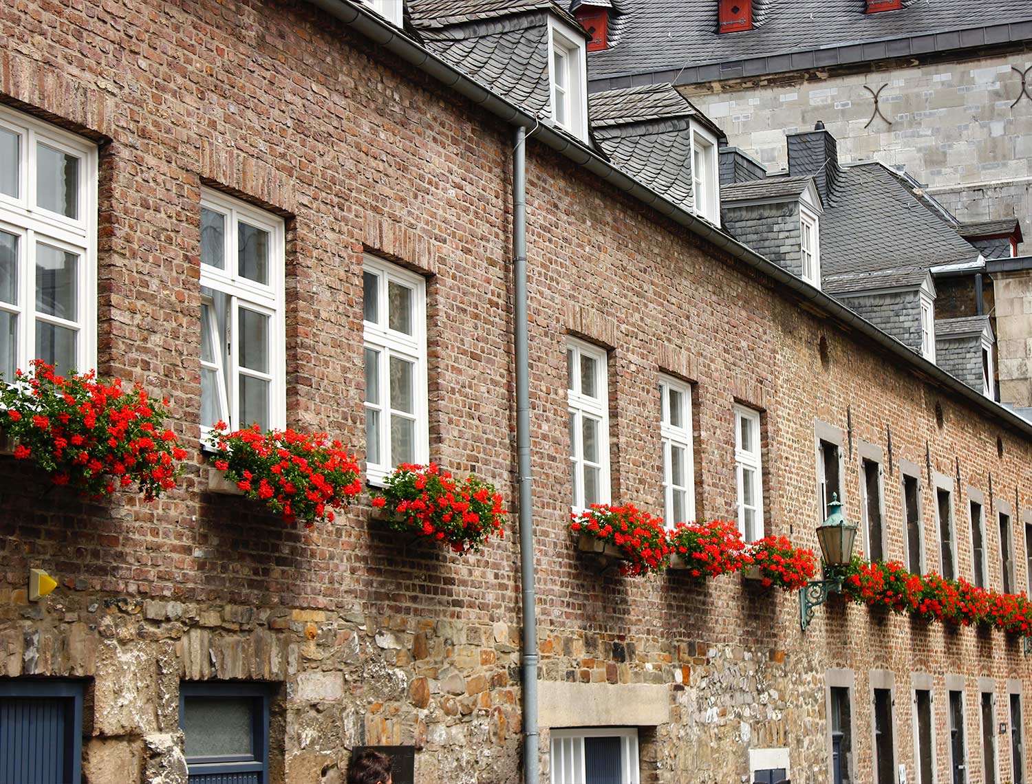 Hier sieht man eine Steinmauer mit lautern Fenstern drin und an den Fenstern sind Blumenkästen mit Roten Blumen 