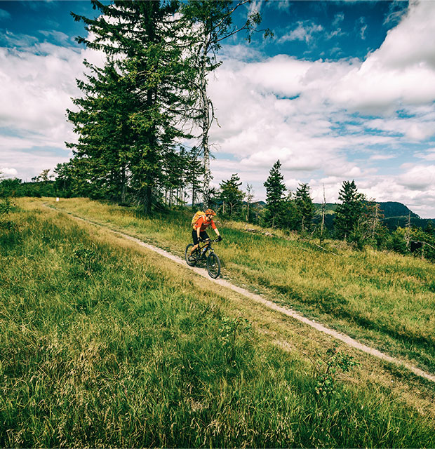 Mountainbiker, welcher über einen schmalen Pfad fährt. Links und rechts davon sieht man Wiesen und Bäume.